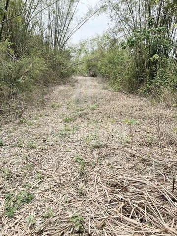 龍崎區1.4甲農地｜台南市龍崎區龍船段