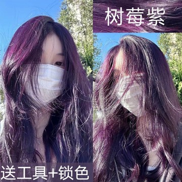 9號倉庫 染髮劑 植物染髮膏 樹莓紫染發膏 天然植物永久 顯白 自己在家染發 2024流行色 黑紫色 免漂 一步上色