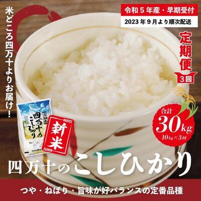 ふるさと納税 四万十市 四万十のこしひかり10kg×3回(合計30kg)