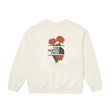 The North Face 北面 女 長袖大學T NF0A8ASYQLI