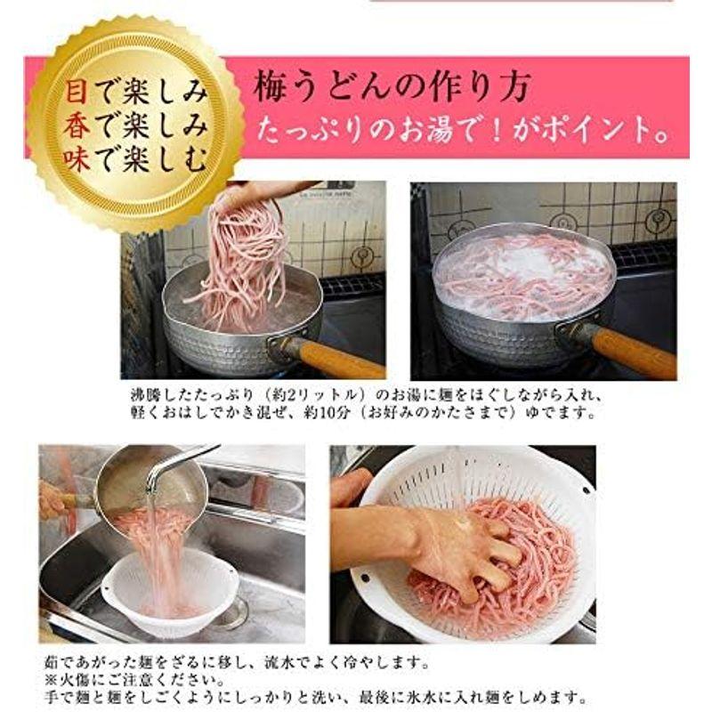 ふみこ農園 ギフト 丸ざる入 冷し梅うどんセット（大盛り5人前） 麺大盛り150g、低塩梅干、めんつゆ、竹ざる付 うどん日本一選手権 全国2