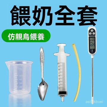 💥限時下殺💥新北現貨 幼鳥餵食器 鸚鵡餵食湯匙頭 不鏽鋼餵食器 鸚鵡餵食器 針筒餵食 矽膠軟管 針管餵食幼鳥餵食鸚鵡餵奶
