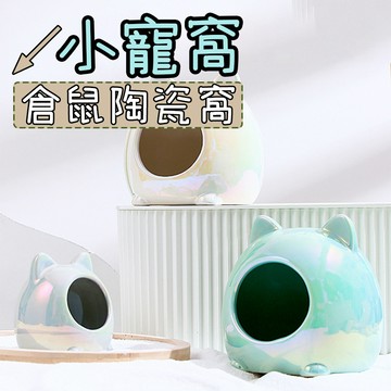 倉鼠窩 陶瓷窩 睡窩 小寵睡窩 倉鼠睡窩 倉鼠用品 倉鼠躲避屋 倉鼠陶瓷屋 貓頭陶瓷窩 倉鼠家 倉鼠小窩 睡窩