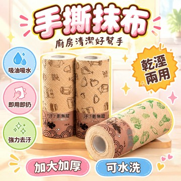 📦臺出良品🚚手撕抹布 抹布 擦拭布 百潔布 洗碗布 洗碗巾 吸水抹布 廚房抹布 油污清潔 周拋抹布 2s32r