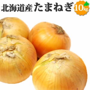 たまねぎ 北海道産 10kg L～2Lサイズ 玉ねぎ 野菜 ギフト お取り寄せ