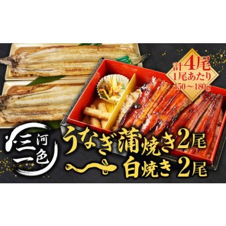 ふるさと納税 三河一色うなぎ蒲焼2尾 白焼2尾(肝焼き付き)うなぎ 蒲焼 愛知県幸田町