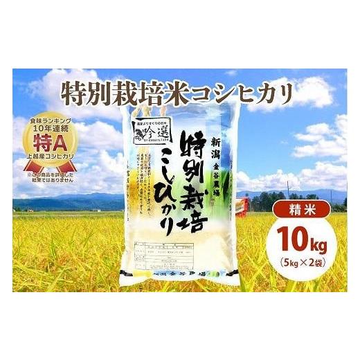 ふるさと納税 新潟県 上越市 令和5年産|新潟上越三和産|特別栽培米コシヒカリ(従来種)10kg(5kg×2)精米