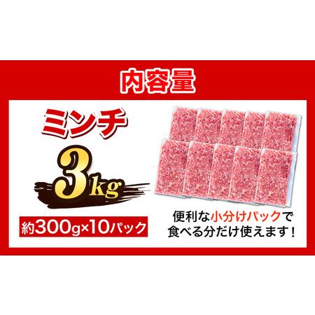 ふるさと納税 豚肉  阿波 金時豚 ミンチ 大容量 3kg アグリガーデン 《30日以内に順次出荷(土日祝除く)》豚肉 ブランド豚 肉 小分けパック 送料.. 徳島県上板町