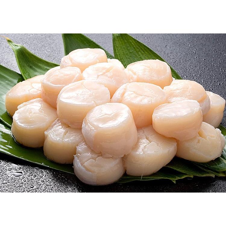 ほたて 帆立　特大 貝柱 生 冷凍 500g 15〜18玉前後 北海道産 ［ お刺身 生食 刺身 海鮮丼 ］