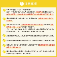 栽培期間中農薬不使用「レモン」約3kg