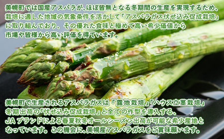 希少!冬期生産伏せ込み促成栽培アスパラ「冬姫」M～L　約1kg アスパラ グリーン 野菜 健康 北海道 美幌町 送料無料 BHRG070