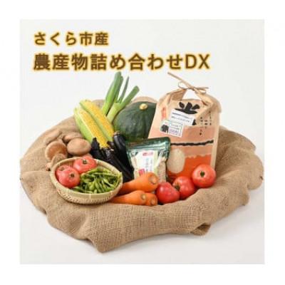 ふるさと納税 さくら市 さくら市産の農産物詰め合わせDX