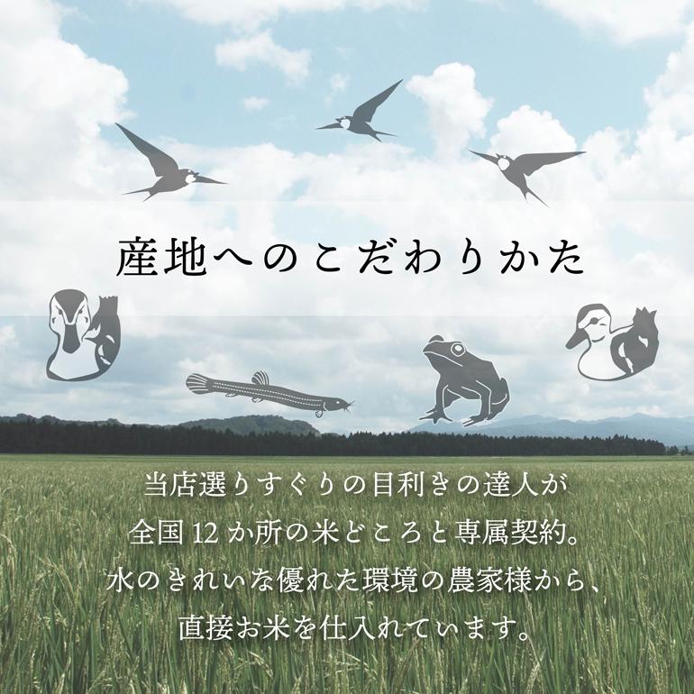 ななつぼし 5kg 北海道産 送料無料 一宮精米  米 お米 令和5年産