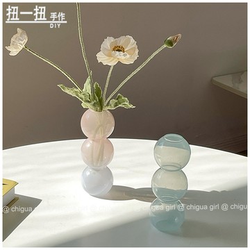 迷你花瓶🌷 玻璃小花瓶透明擺件客廳插花水養迷你桌麵矮花器網紅ins風高顔值