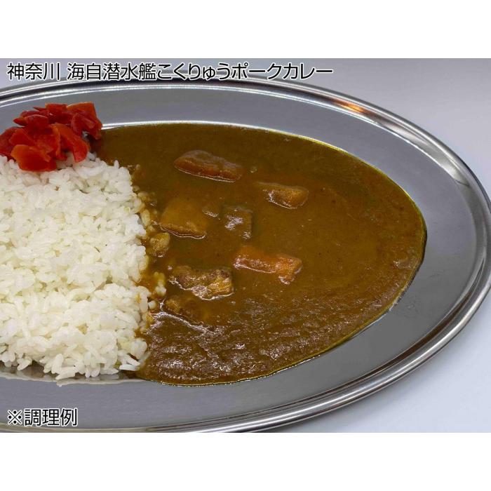 送料無料 ご当地カレー 神奈川 海自潜水艦こくりゅうポークカレー＆鹿児島 海自鹿屋航空基地隊キーマカレー 各5食セット |b03