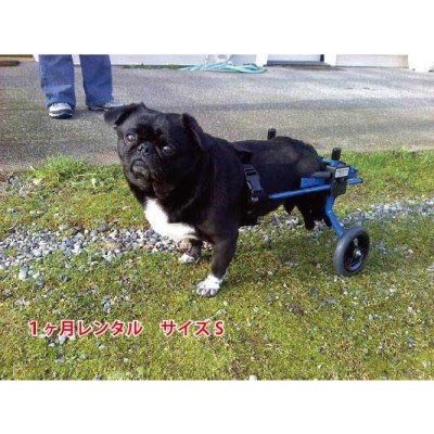 1ヶ月レンタル K9カート犬用車椅子後脚サポート S5kgkg未満
