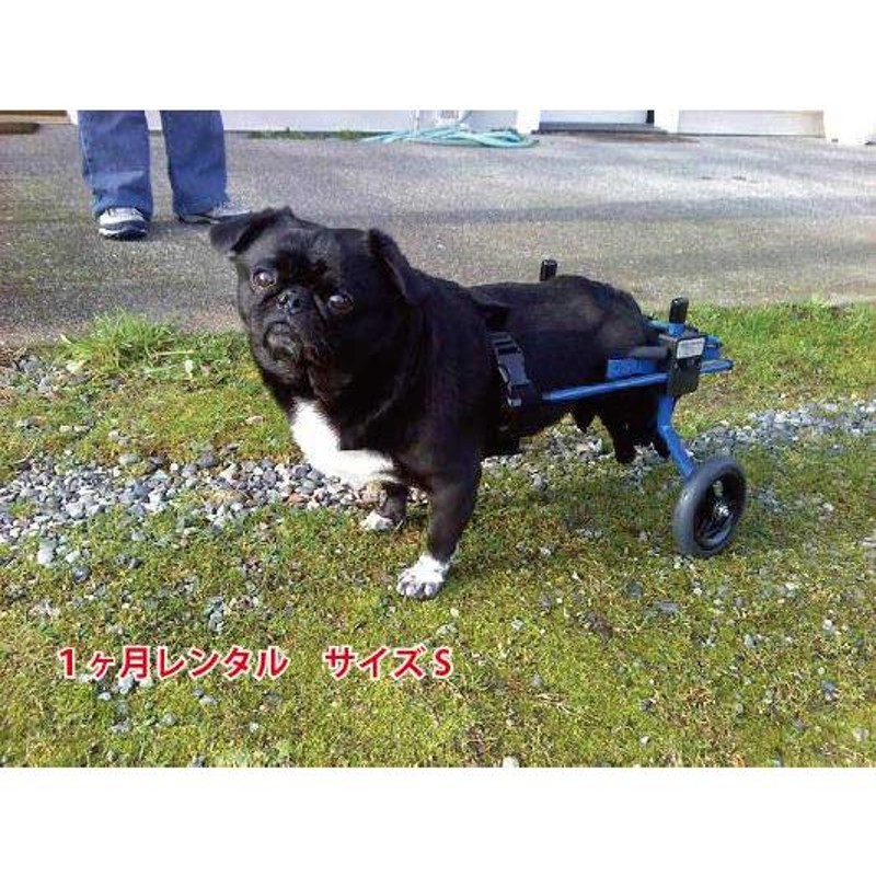 犬の車椅子　超小型犬用２輪車