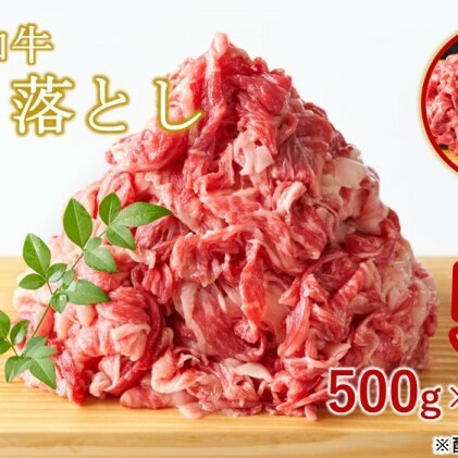 限定 牛肉 博多和牛 A4～A5 切り落とし 合計5kg（500g×10p）肩ロース 赤身 バラ カルビ 小分け 大好評につき継続！配送不可：離島