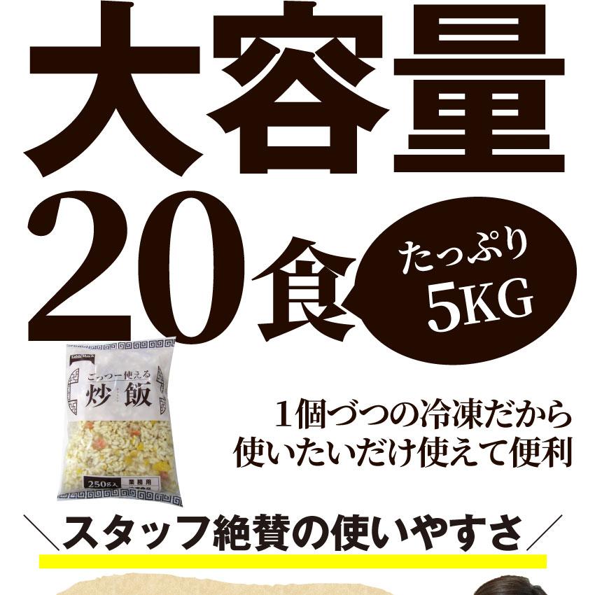 炒飯 チャーハン 焼き飯 たっぷり卵の黄金チャーハン 20食セット 5kg 中華 冷凍レンジ調理 業務用 まとめ買い 当日発送対象