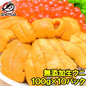 うに 冷凍 生うに 無添加 100g×10パック 1kg 最高級Ａグレード。うに丼約20杯分【ウニ ウニ丼 刺身 うにパスタ うにスパゲッティ うに軍