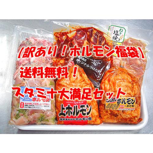 ホルモン福袋 送料無料 訳ありスタミナ大満足セット お歳暮 父の日 BBQ バーベキュー 焼肉 ホルモン  牛ホルモン 豚ホルモン