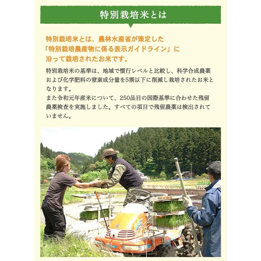 令和5年度産 新米 新潟県 加茂産 特別栽培米こしひかり5kg 送料無料