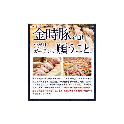 ふるさと納税 徳島県 上板町 豚肉 阿波 金時豚 ミンチ 1.8kg アグリガーデン 《30日以内に順次出荷(土日祝除く)》ブランド豚 肉 小分けパック 送料無料 徳島県…