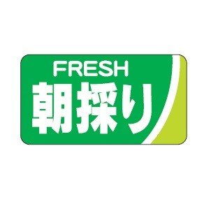 シール（販売促進用）　朝採り！（H-90)　サイズ37mm ×20mm　10,000枚（1000枚入り×10冊）　送料無料