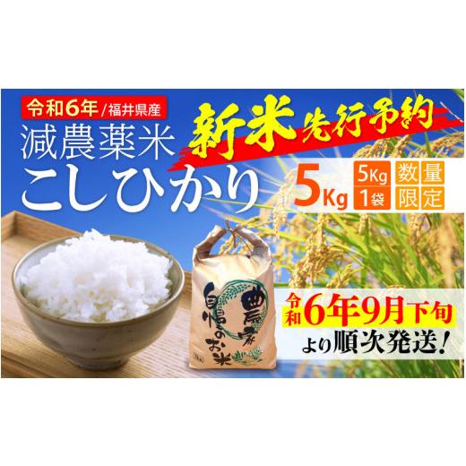 ふるさと納税 福井県 越前町 [e35-a004_01] 減農薬米 こしひかり 5kg 令和6年 福井県産（白米）