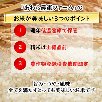 ふるさと納税 あわら市 「いっちょらい」 福井県産 コシヒカリ 精米 10kg 全12回