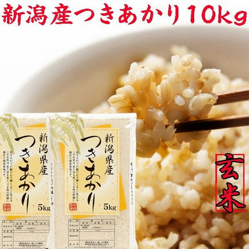 今年の新作から定番まで！ 米 白米 10kg 新米 令和3年 千葉県産 ふさこがね お米 精米 送料無料 ※地域によりまして別途送料が発生  materialworldblog.com