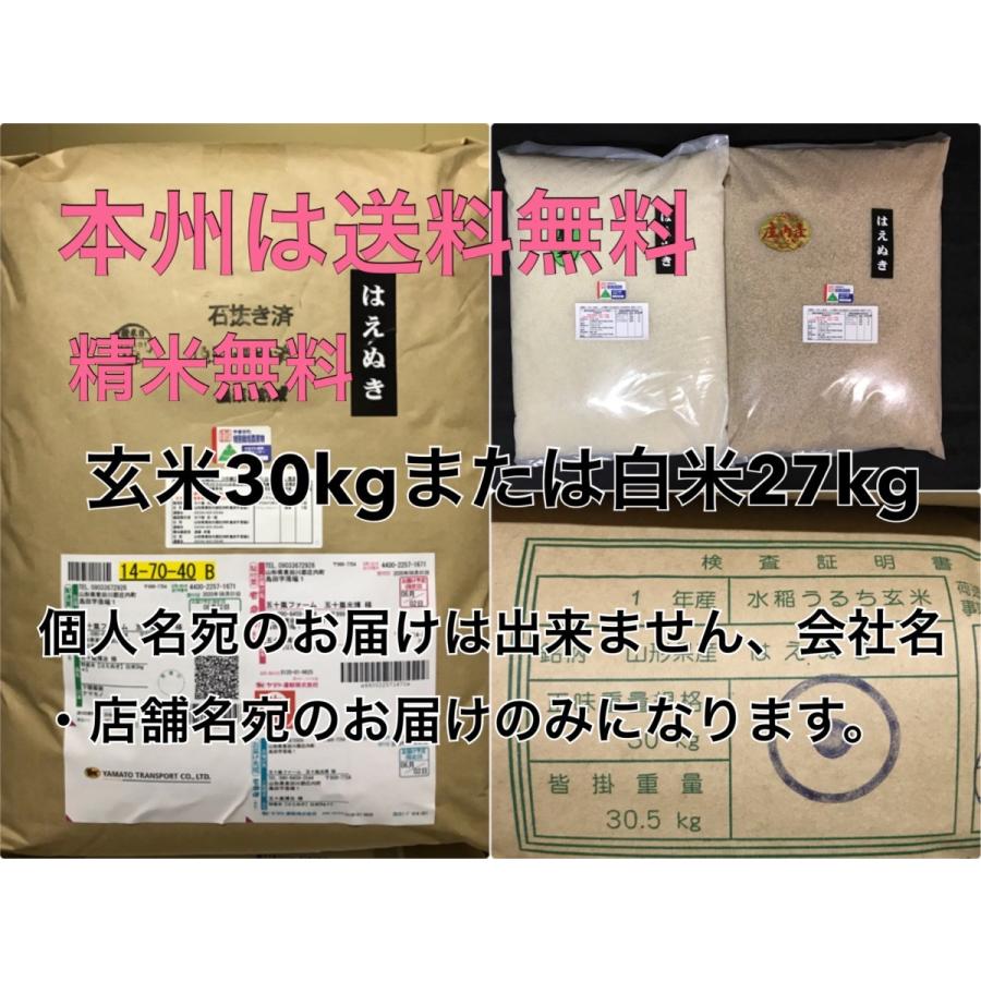 新米 はえぬき 米 [送料無料] 山形県 令和5年産 １等米 玄米30kg 農家直送  [精米無料] 農薬4割以上低減