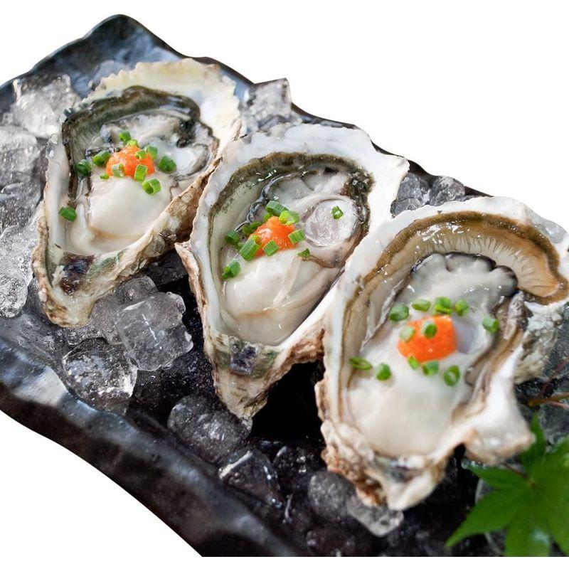 牡蠣 旬凍 生牡蠣 ハーフシェル １０個 生食可 殻剥き不要 海鮮 バーベキュー 牡蛎