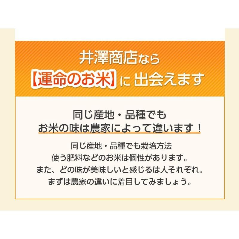 ＼新米入荷／ 米 玄米 10kg 丸尾秀明さん コシヒカリ 玄米 白米 選択可 令和5年兵庫県産 産地直送