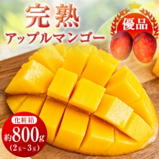 ＜優品＞完熟アップルマンゴー約800g(化粧箱)2玉～3玉