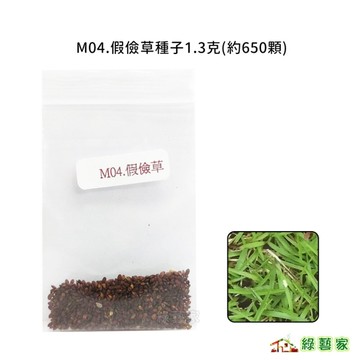 【綠藝家】M04.假儉草種子1.3克/M04-1.假儉草種子1.8克(草皮種子)匍匐性草皮種子