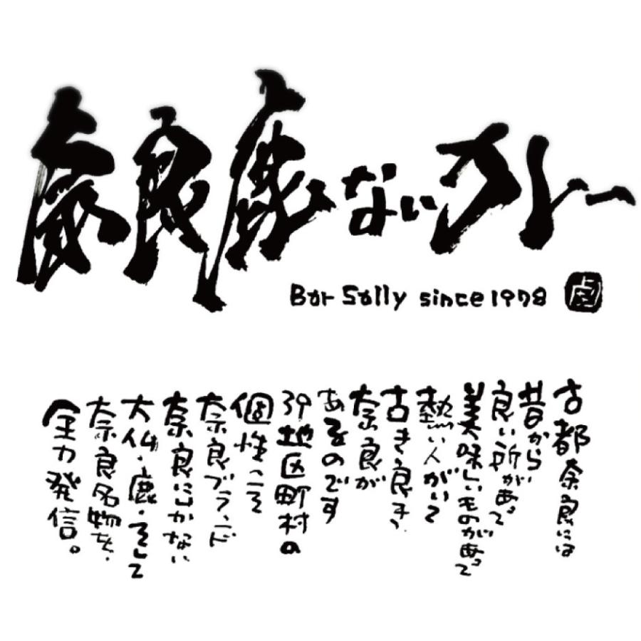 奈良鹿ないカレー エスニック おためし1個