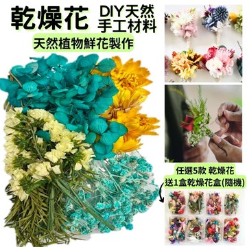 【A-ONE】乾燥花 不凋花 永生花 花材 DIY新手包 拍攝 道具 不凋花 乾燥花 永生花 花材 手作 A06 水藍金光_廠商直送