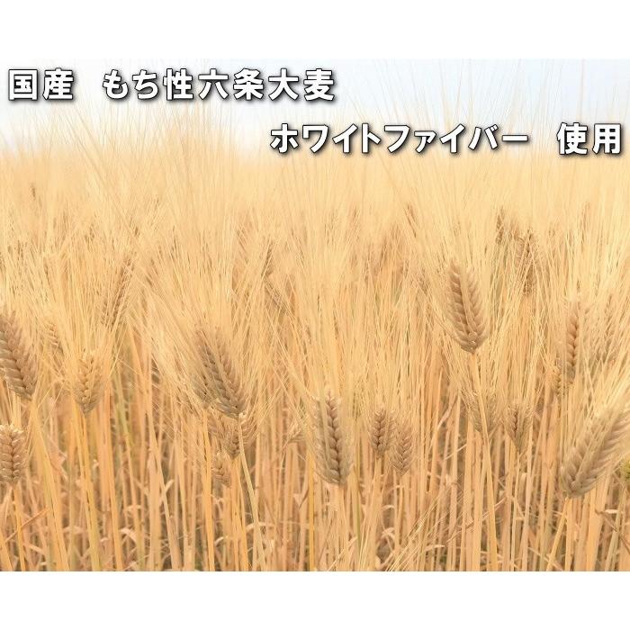 国産もち麦 たっぷり 業務用 5kg はねうまもち 品種使用