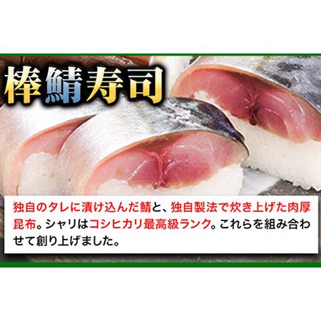 ふるさと納税 紀州和歌山の棒鯖寿司 紀の川市厳選館《30日以内に順次出荷》和歌山県 紀の川市 棒鯖寿司 寿司 すし スシ 鯖 さば サバ 魚 和歌山県紀の川市