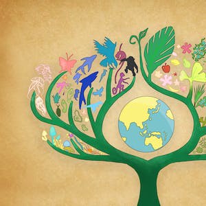 生物演化