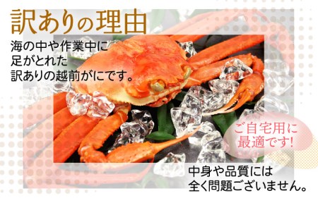 越前ガニ本場の越前町からお届け！越前ガニ浜茹で 越前ガニ（小)×6杯 食べ方しおり かにスプーン付き 越前町の網元漁師厳選の越前ガニ [e15-x002_01] 福井県 雄 ズワイガニ ボイルガニ 冷蔵 越前がに 越前かに 越前ガニ 越前カニ 越前蟹 かに カニ 蟹