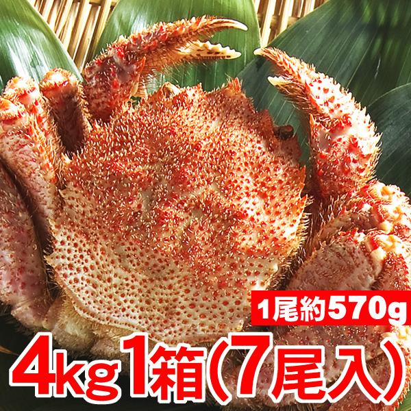 北海道産 毛がに特大1箱 約570g 7尾 取り寄せ オープン記念