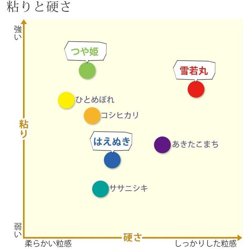 玄米 はえぬき 30kg 山形県産 令和4年産 米