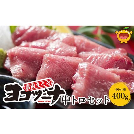 ふるさと納税 豊後まぐろ ヨコヅーナ刺身用・中トロ400g  鮪 マグロ 海鮮丼 刺し身 盛り合わせ 冷凍 魚の刺身 大分県産 九州産 津久見市 国産.. 大分県津久見市