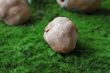 純手捏有翅膀雲朵造型乾燥花器