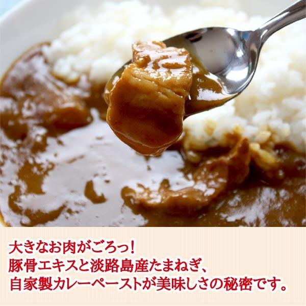 レトルト レトルトカレー レトルト食品 常温保存　元気豚カレー（個食レトルト） 200g×2パック