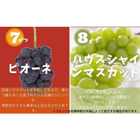 ふるさと納税 土庄町 ふるさと果実 12回定期便 香川県土庄町