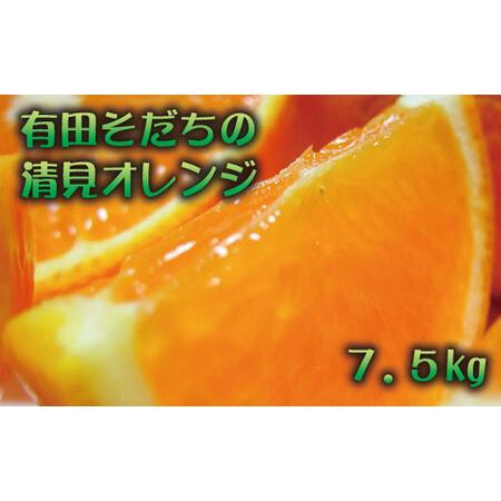 ふるさと納税 ＜3月上旬〜＞濃厚清見オレンジ（ご家庭用）　約10kg※2024年３月上旬〜３月下旬頃に順次発送予定 ※着.. 和歌山県広川町