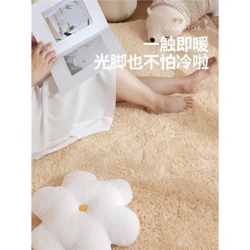 2026新款素色羊羔絨地毯臥室床邊毯客廳防滑軟墊加厚室內毛絨地墊